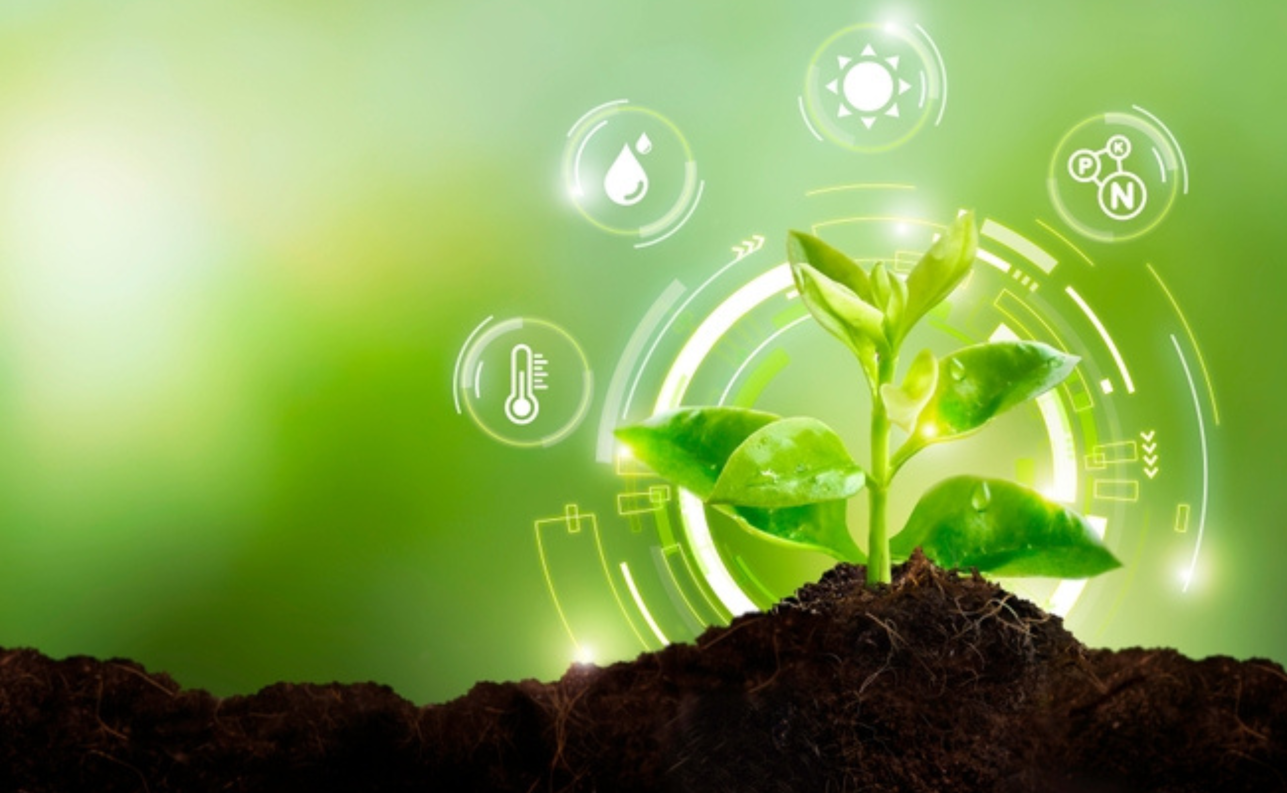 Network infrastructure